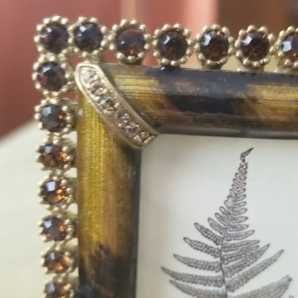 RARE JAY STRONGWATER LORRAINE LUCAS LEOPARD JUNGLE PAVE CRYSTAL ENAMEL FRAME